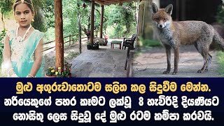 මුළු අගුරුවාතොටම සලිත කල සිදුවීම මෙන්න