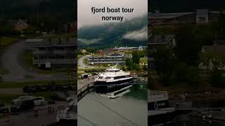 Fjord boat tour norway #viral #cruiseship #travel #trendingshorts #ship #seaman #sailor #norway