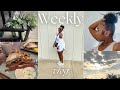 Weekly Vlog : New Puppy | They stole from me | breakfast date + more