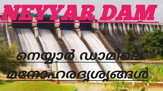 നെയ്യാർ അണക്കെട്ട് #Neyyar Dam#keralatourism