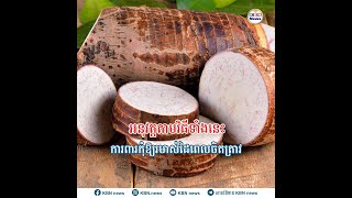 អនុវត្តតាមវិធីទាំងនេះការពារកុំឱ្យរមាស់ដៃពេលចិតត្រាវ