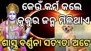 କେଉଁ କର୍ମ କଲେ କୁକୁର ଜନ୍ମ ମିଳିଥାଏ ।। ଶାସ୍ତ୍ର ରୁ ବର୍ଣ୍ଣନା ସତ୍ୟତା ଅଟେ।।