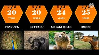 Life span comparison :the shortest and longest lifespan of animals .