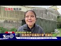 狗狗突暴走 美容師檢查指甲 鼻.唇遭狠咬｜tvbs新聞