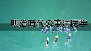 ゆるっと学ぶ東洋医学概論　第12回　明治維新によって様変わりした東洋医学