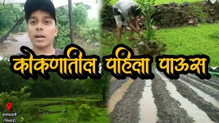 ☄️🌫⛈️☔  कोकणातील पहिला पाऊस | सर्वत्र पसरलेली हिरवळ | निसर्ग 🌴🌾🦀🦚