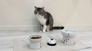 地震が怖すぎて食べ物が喉を通らなくなっちゃった猫がこちらです…