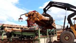 Techno Wood rąstų nužievinimo linija (Log debarking line)