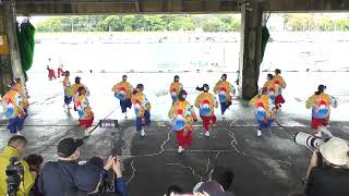 【4K】よさこい舞羽（よさこい東海道 沼津秋祭り 2024/第一市場演舞場)