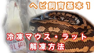 【爬虫類飼育】冷凍マウスの解凍時の注意点！・ヘビ