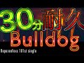 【作業用bgm】bulldog【30分耐久】@wakiofficial