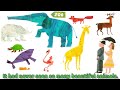 the mixed up chameleon by eric carle