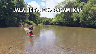 KEMBALI MENJALA IKAN, LANGSUNG DIKASIH BERBAGAI MACAM IKAN