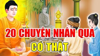 20 Chuyện Nhân Quả Phật Giáo Có Thật Hay Nhất 2023 Khiến Hàng Triệu Người Rùng Mình Ai Cũng Nên Nghe