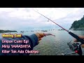 squid jig pink size 3.0 rattle || Fishing for squid on the beach in the morning