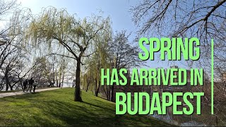 Sunday walk on Petőfi Bridge and Kopaszi Gát | Budapest Walking Tour [4K]