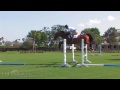 equestrian coach rodrigo pessoa u0026 let s fly