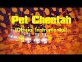 twenty one pilots: Pet Cheetah (Instrumental)