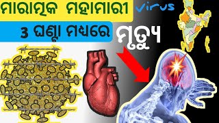 ପୃଥିବୀ ଉପରେ ବଡ଼ ବିପଦ /earth will be end 🙄|odia bazz