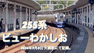 （臨時特急運用最終日）255系　ビューわかしお　2024年9月8日 大網駅にて記録。