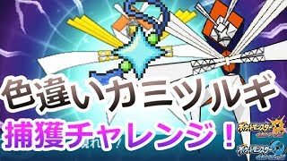 【ポケモンUSUM】-色違いカミツルギ-捕獲チャレンジ！【ポケットモンスターUSUM】