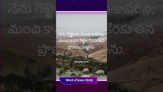 యేసుక్రీస్తు మాట #telugu #bible #words #jesus #christ #devotional #biblestudy #ytshorts #church #wjc