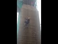 awesome abseil