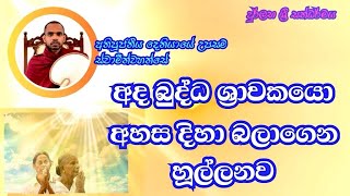 Deniyaye Upasama Thero│Rare Dhamma│දුර්ලභ ශ්‍රී සද්ධර්මය