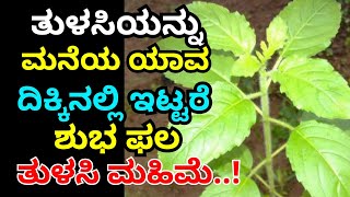 which place you have to keep tulasi plant | tulasi plant in homes |luck money problems