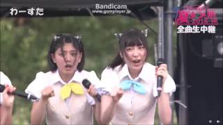 わーすた　いぬねこ。青春真っ盛り　アイドル横丁夏まつり2016