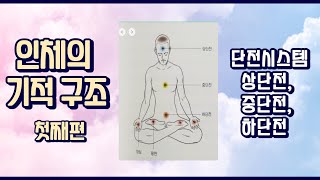 인체의 기적 구조 첫째편 - 단전 시스템 : 상단전, 중단전, 하단전을 소개합니다