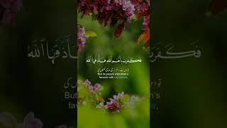 Surah nahl urdu translation tarjuma quran