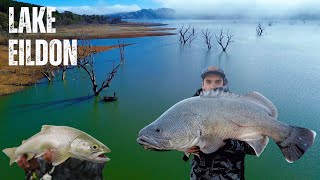 Fishing Lake EILDON - Murray Cod, Yellowbelly and Trout