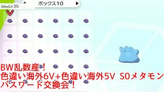 【BW乱数産！色違い海外産6V\u00265V S0メタモン配布！】ポケモン剣盾 パスワード交換会ライブ