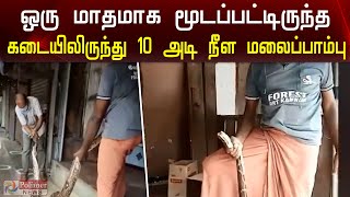 ஆக்ரோஷமாக சீறிய 10 அடி நீள மலைப்பாம்பு | 10 foot long python