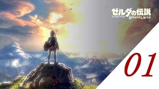 [SWITCH版] ゼルダの伝説 ブレス オブ ザ ワイルド プレイ動画 PART01