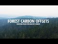 Forest Carbon Offsets: Creating Value for Healthy Forests