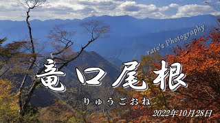 大台ヶ原と大峰に挟まれた竜口尾根へ