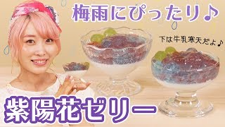 【簡単レシピ】梅雨にぴったり♡紫陽花ゼリー作ってみた！【炭酸ゼリー\u0026牛乳寒天】