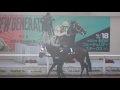 ミツバ、ベテルギウスsのパドック。阪神競馬場、2016年。現地映像