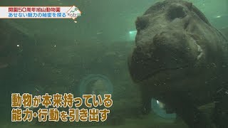 開園50周年旭山動物園～あせない魅力の秘密② 2017年12月9日放送