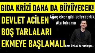 BELEDİYELER ÇİÇEK YERİNE BUĞDAY EKSİN!  GIDA KRİZİ BÜYÜYECEK! EKEMEDİĞİN TOPRAK SENİN DEĞİLDİR!