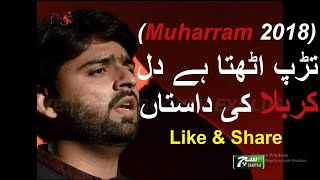 Tarap Uthta Hai Dil | Karbala Ki Dastan | M Zargham Haider | Offical Video | Such Tv