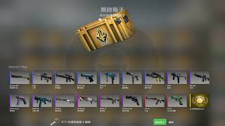 [CSGO]-再開一箱!能抽中刀子嗎!我要蝴蝶刀啊!