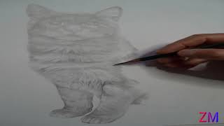 #dibujoalapiz #dibujoalapizpasoapaso #dibujoalapizfacil Dibujo a lapiz de un gato