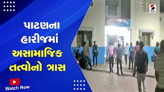 Patan News : પાટણના હારીજમાં અસામાજિક તત્વોનો ત્રાસ | Anti-Social Elements Issue | Gujarati News