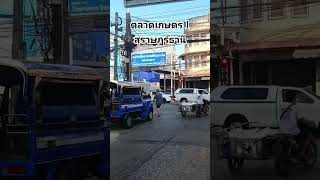 ถึงแล้วตลาดเกษตร 1 สุราษฎร์ธานี #shortpants #shortsfeed #shortvideo #shorst