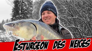 Pêche de l'esturgeon