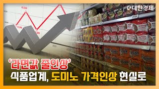 '라면값 줄인상'... 식품업계, 도미노 가격인상 현실로...