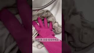 (살림노하우) 티셔츠 땀냄새 제거하는 방법 | 초간단 땀냄새 제거 | 여름 티셔츠 세탁법 |살림팁